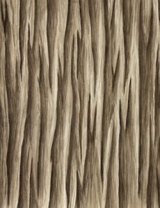sepia tree bark watercolor abstract nature study by jayde haidar