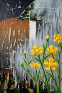 yellow buttercup flowers mixed media painting by jayde haidar